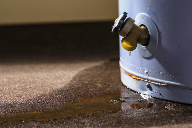 Best Water damage restoration near me  in Sutter, CA