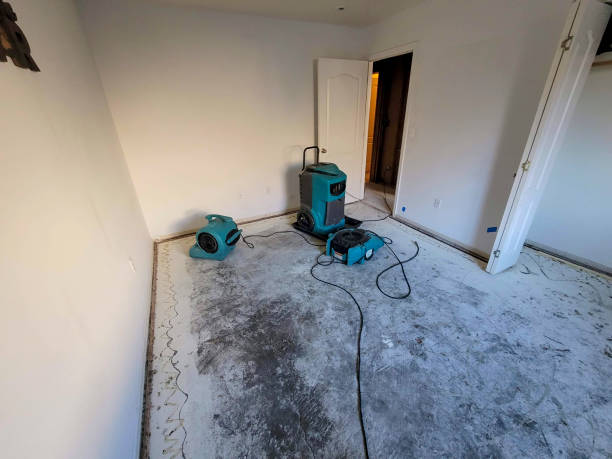 Best Water damage restoration near me  in Sutter, CA
