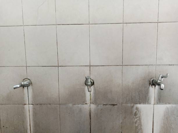 Best Carpet water damage restoration  in Sutter, CA