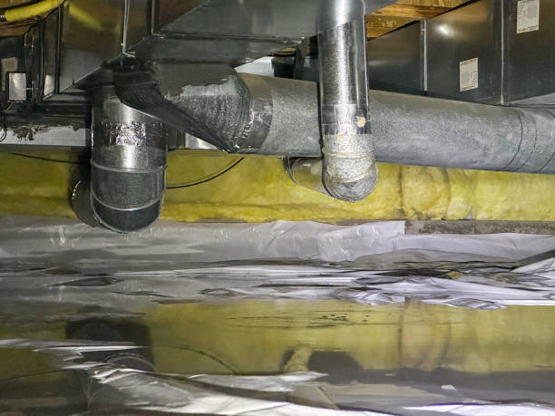 Best Local water damage restoration  in Sutter, CA