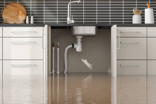 Best Sewage cleanup and water damage restoration  in Sutter, CA